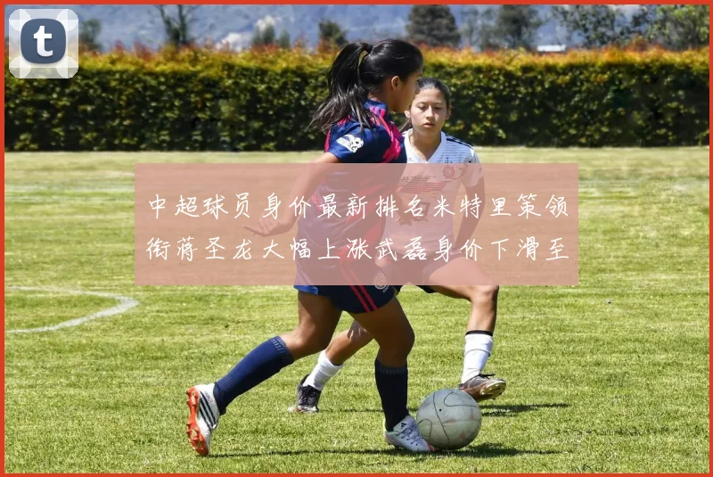 中超球员身价最新排名米特里策领衔蒋圣龙大幅上涨武磊身价下滑至50万